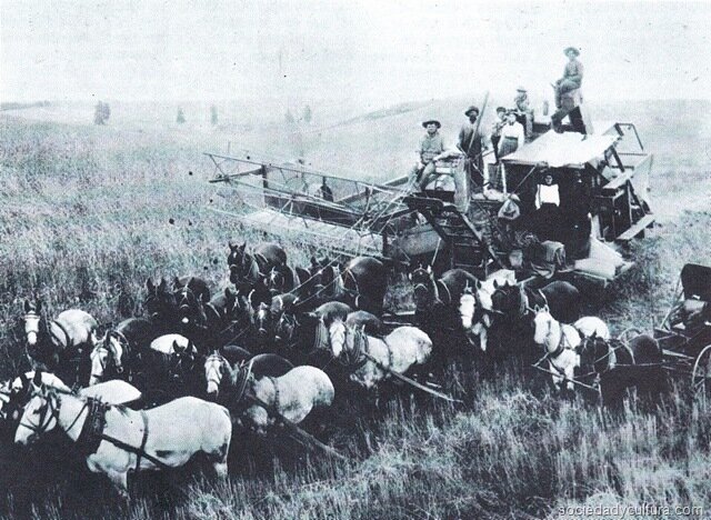 Crisis de la agricultura tradicional