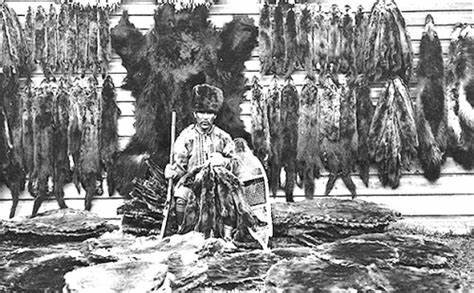 La traite de fourrure