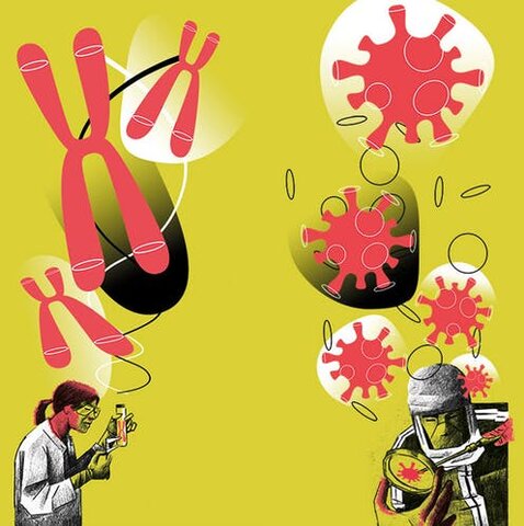 Disminución de las enfermedades infecciosas