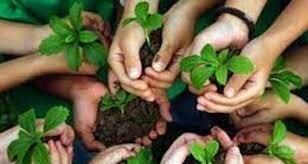 Plan estratégico a nivel internacional