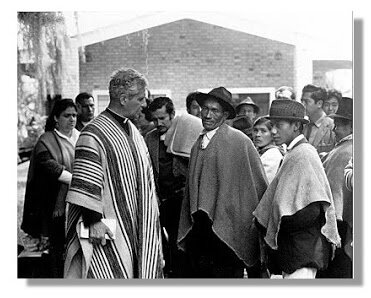 Creación de la universidad