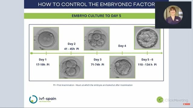 Blastocyst Development: Day 3-5