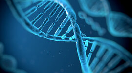 Timeline: LOS 4 PARADIGMAS DE LA BIOLOGÍA