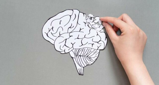 Reforzamiento de la teoría de la función cerebral a través de los fluidos que tenía Andreas Vesalio