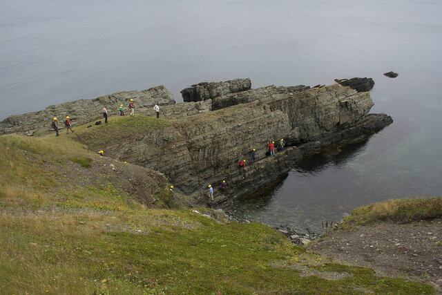 Etapa Terreneuviense