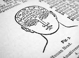 Surgimiento de nueva ciencia: Frenología