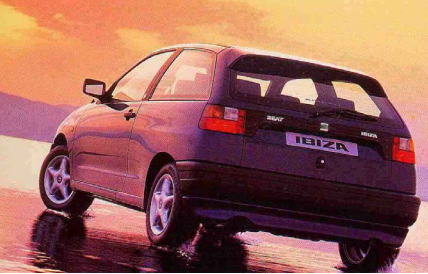 Coche Seat Ibiza