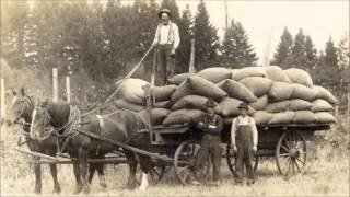 Eestimaa talurahva vabastamine pärisorjusest