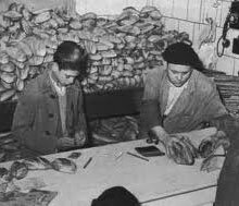 Fin de la autarquía