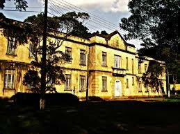 Profissionalização