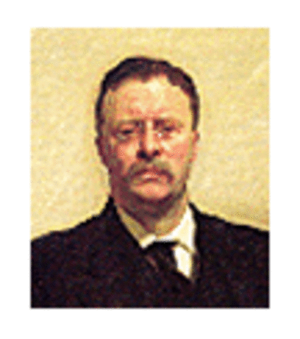 Theodore Roosevelt, 1901-1909