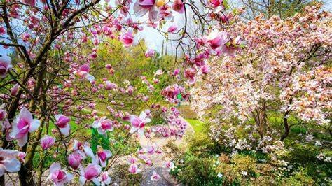 Equinozio di Primavera