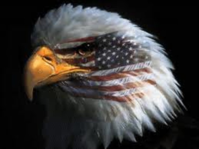 The Bald Eagle becomes our national symbol
