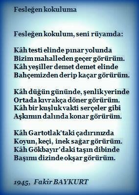 “Fesleğen Kokulum” adlı ilk şiiri basıldı.