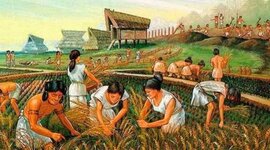 Timeline: HISTORIA DE LA ADMINSTRACION