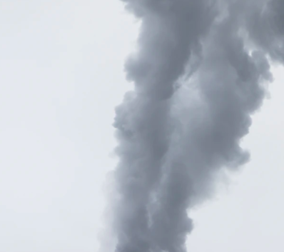 Avogadro's Reasoning In Ordinary Gases