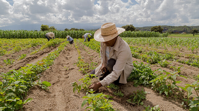 Congreso aprueba nueva ley de régimen agrario.