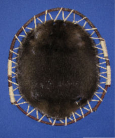 Monopoly of the 100 Associates Company