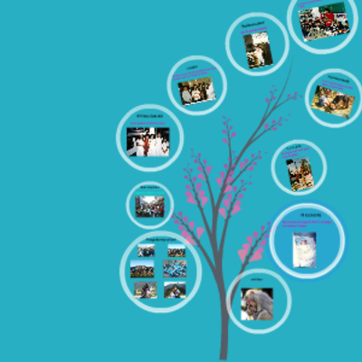 Timeline: eventos mas importantes de mi vida