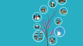 Timeline: eventos mas importantes de mi vida