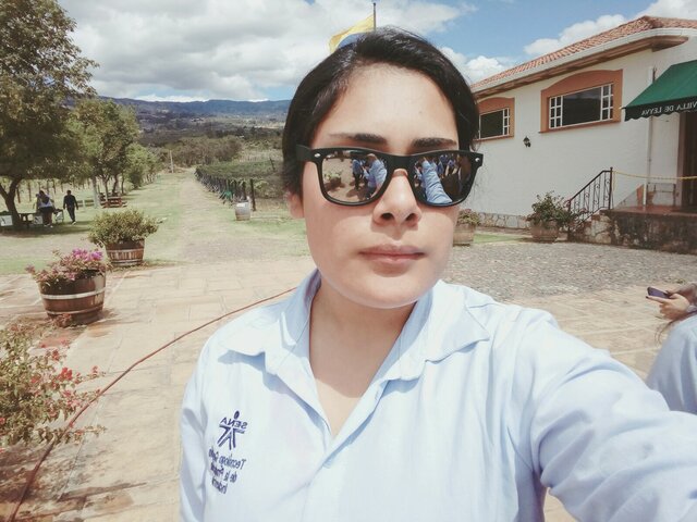 Estudios Tecnológicos