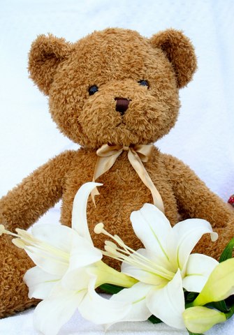 Teddy Bear
