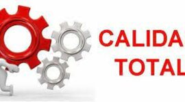 Timeline: Calidad total