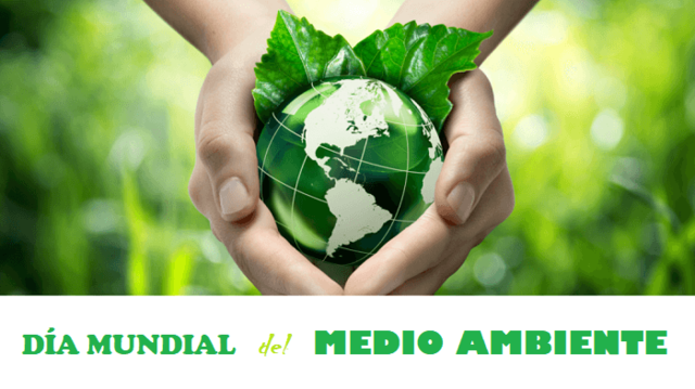 Establecimiento del día mundial del medio ambiente.