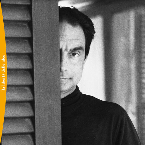 Nel 1979 Calvino pubblica Se una notte d'inverno un viaggiatore