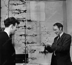 Watson y Crick