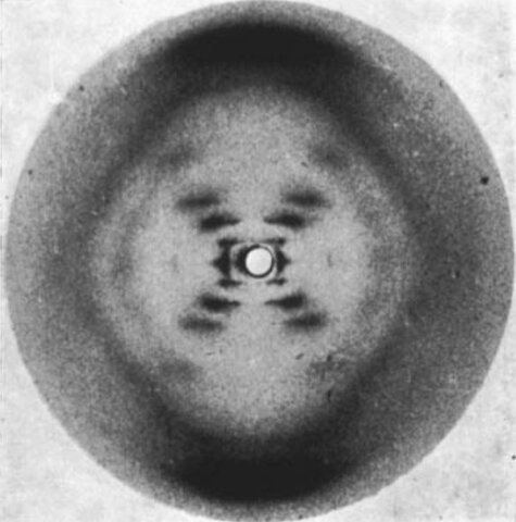 Rosalind Franklin