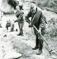 Карпатсько-Ужгородська наступальна операція&nbsp;