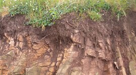 Timeline: Почва