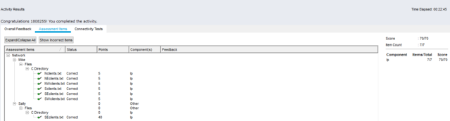 File and Integrity Check