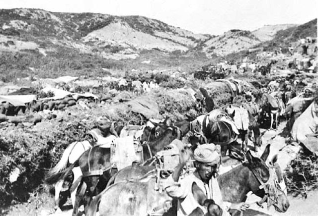 Evacuation of Gallipoli