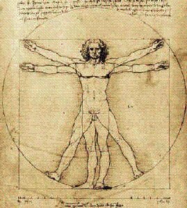 L'home de Vitruvi