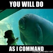 David's Instructions to Solomon