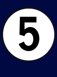 Quinto congreso nacional