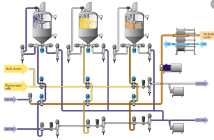 Alcoholic Fermentation