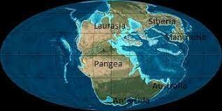 200MA Formación de Pangea