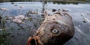 Destrucción de los Rios