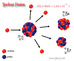 Neutron Bombardment and Nuclear Fission