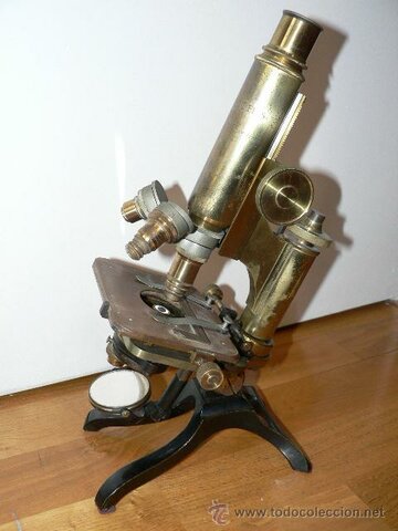 1880 Microscopio de 28 cm
