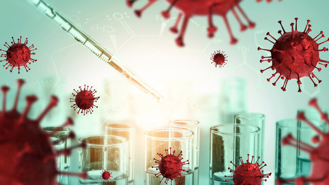 Nombramiento al nuevo virus