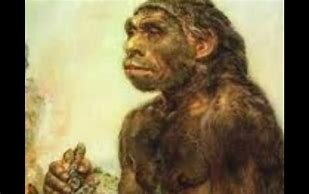 Los Monos Bajan de Los Arboles