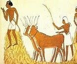 Nacimiento de la Agricultura