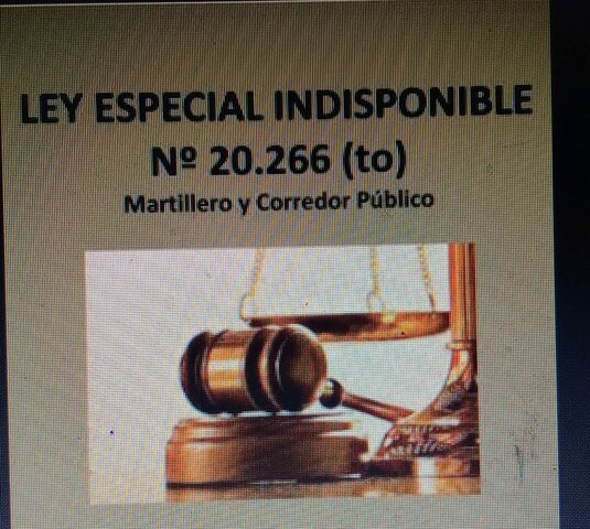 SANCION DE LA LEY 20.266 -MARTILLEROS