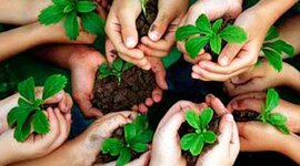Timeline: Historia de la Educación ambiental
