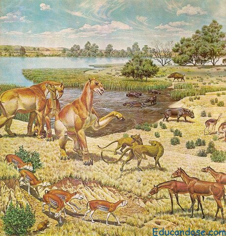 Expansión de los Mamíferos por la tierra