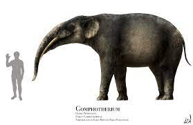 Gomphotherium
